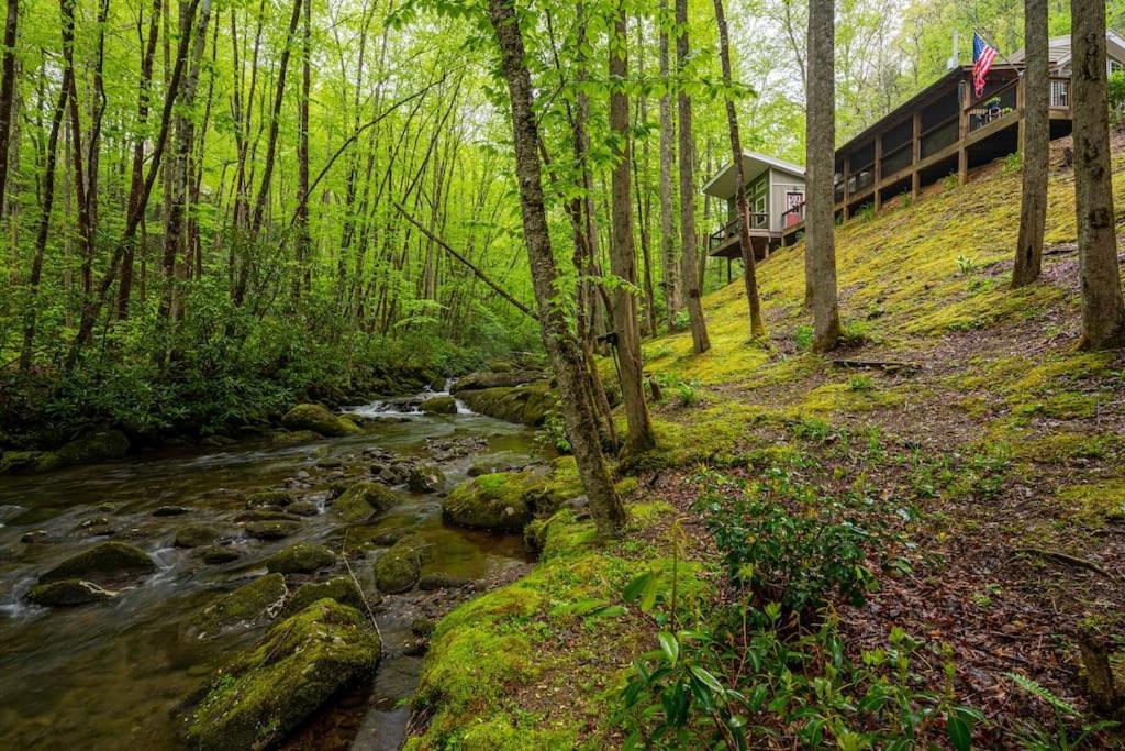 The Owl'S Perch Villa รอบบินส์วิลล์ ภายนอก รูปภาพ