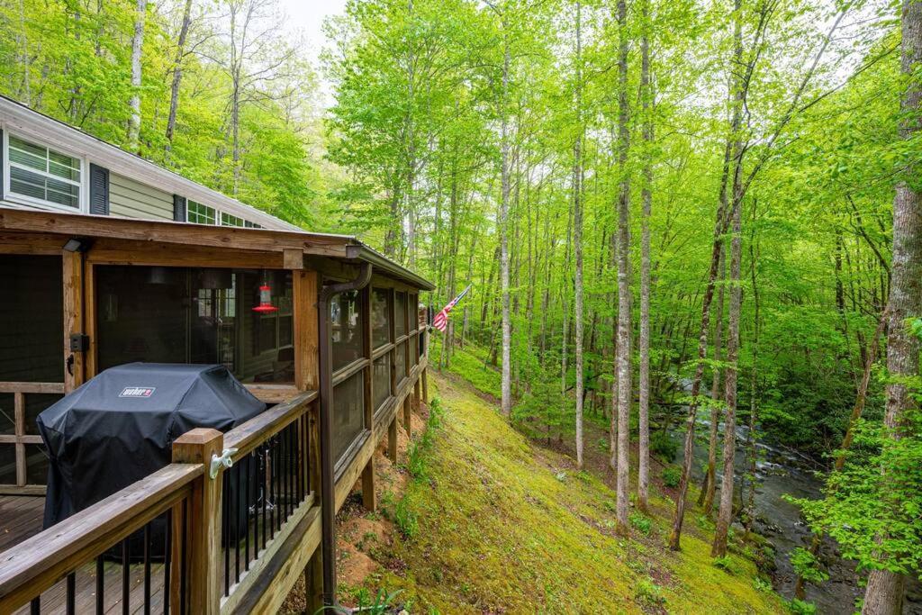 The Owl'S Perch Villa รอบบินส์วิลล์ ภายนอก รูปภาพ