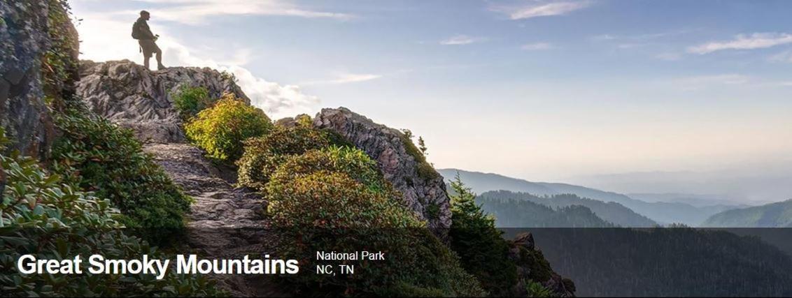 The Owl'S Perch Villa รอบบินส์วิลล์ ภายนอก รูปภาพ
