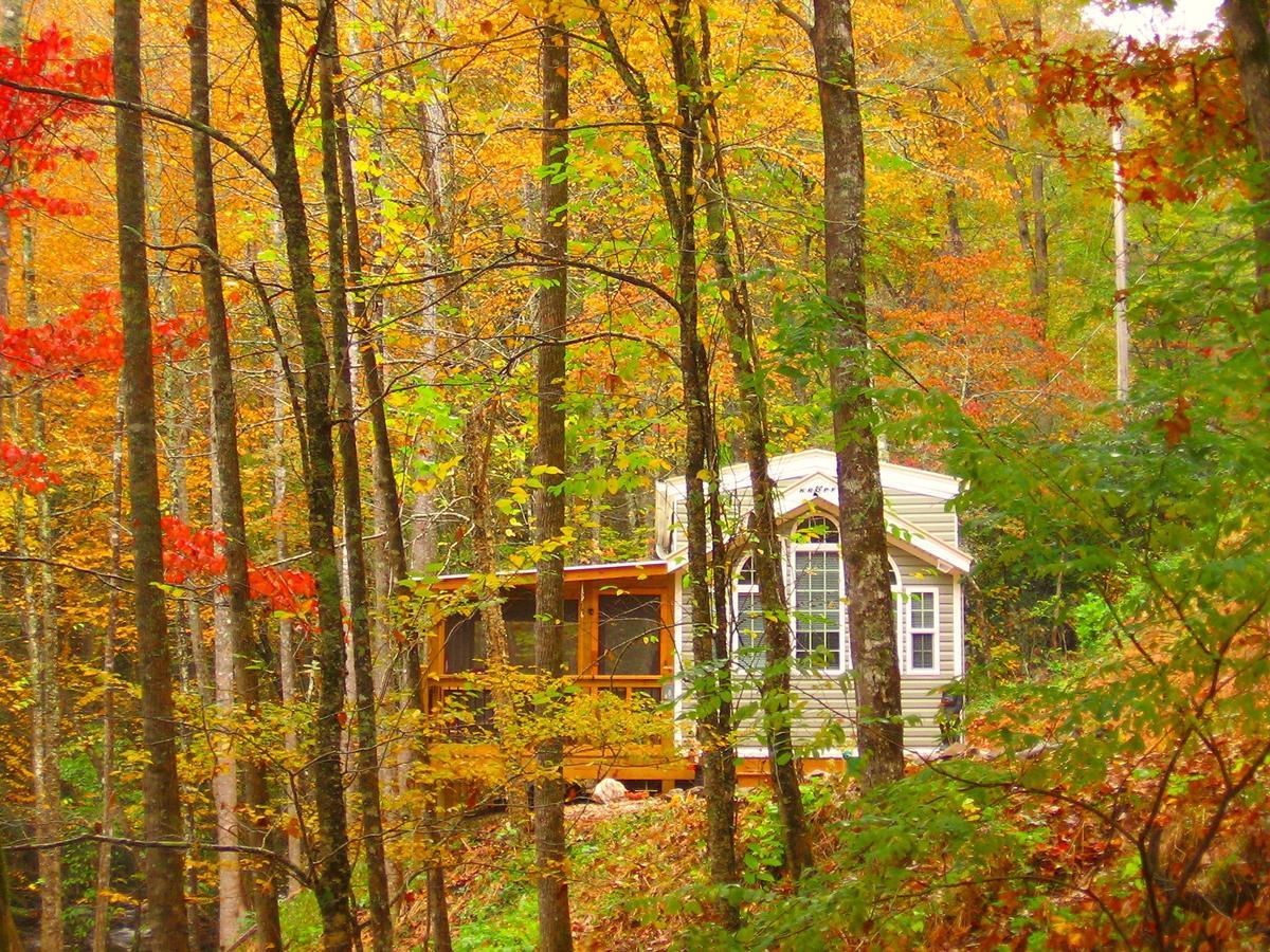 The Owl'S Perch Villa รอบบินส์วิลล์ ภายนอก รูปภาพ