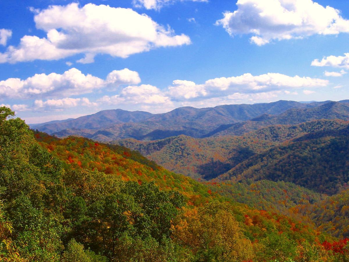The Owl'S Perch Villa รอบบินส์วิลล์ ภายนอก รูปภาพ